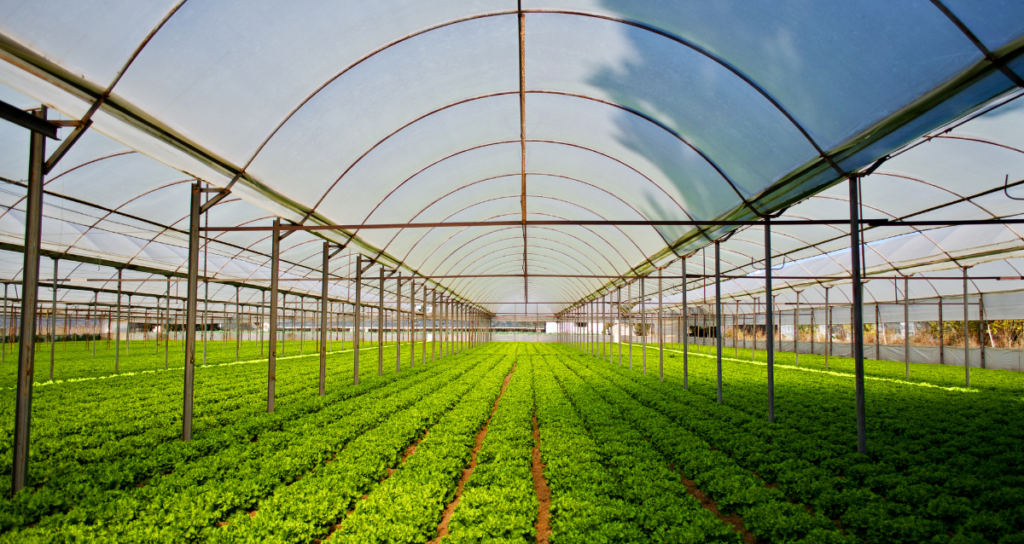 Integrated Farming