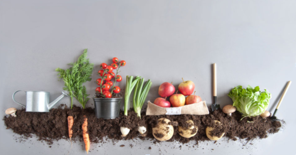 Organic Farming