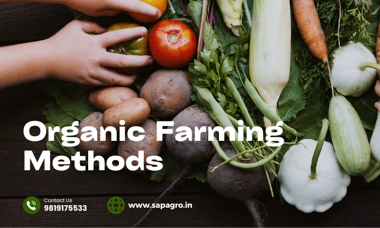 A few vegetables with Organic farming methods written on it