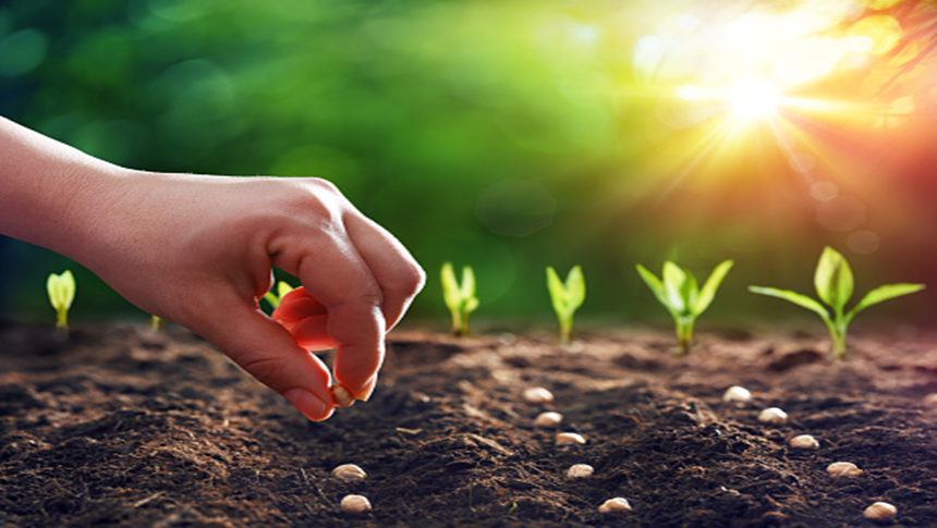 The image describes sowing