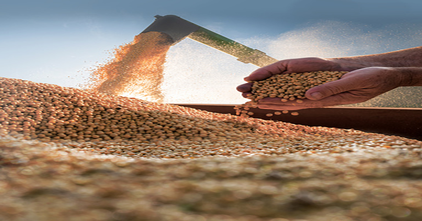 Grain Harvesting