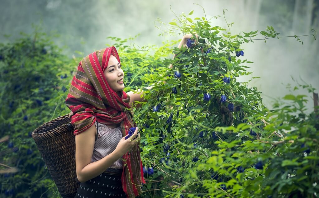 the image of opportunities in organic farming for women