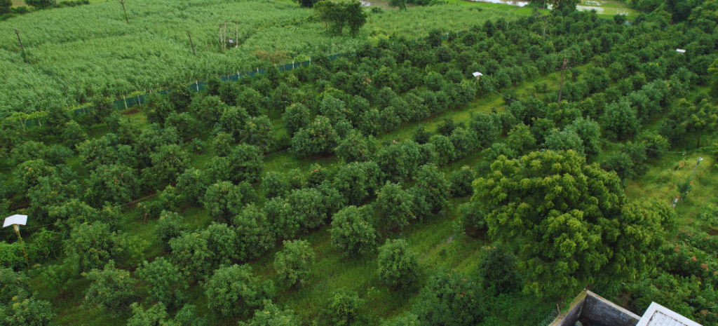 the image is of organic farming and ecosystem conservation