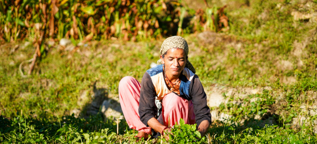 The image describes organic farming and climate change