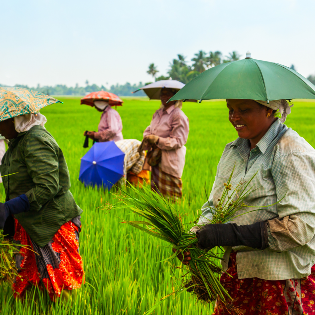 This image talks about Friends doing Organic Farming together.