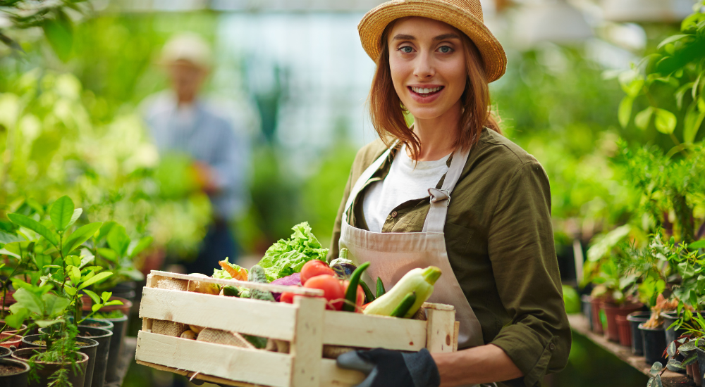 This Image talks about organic farming profitability
