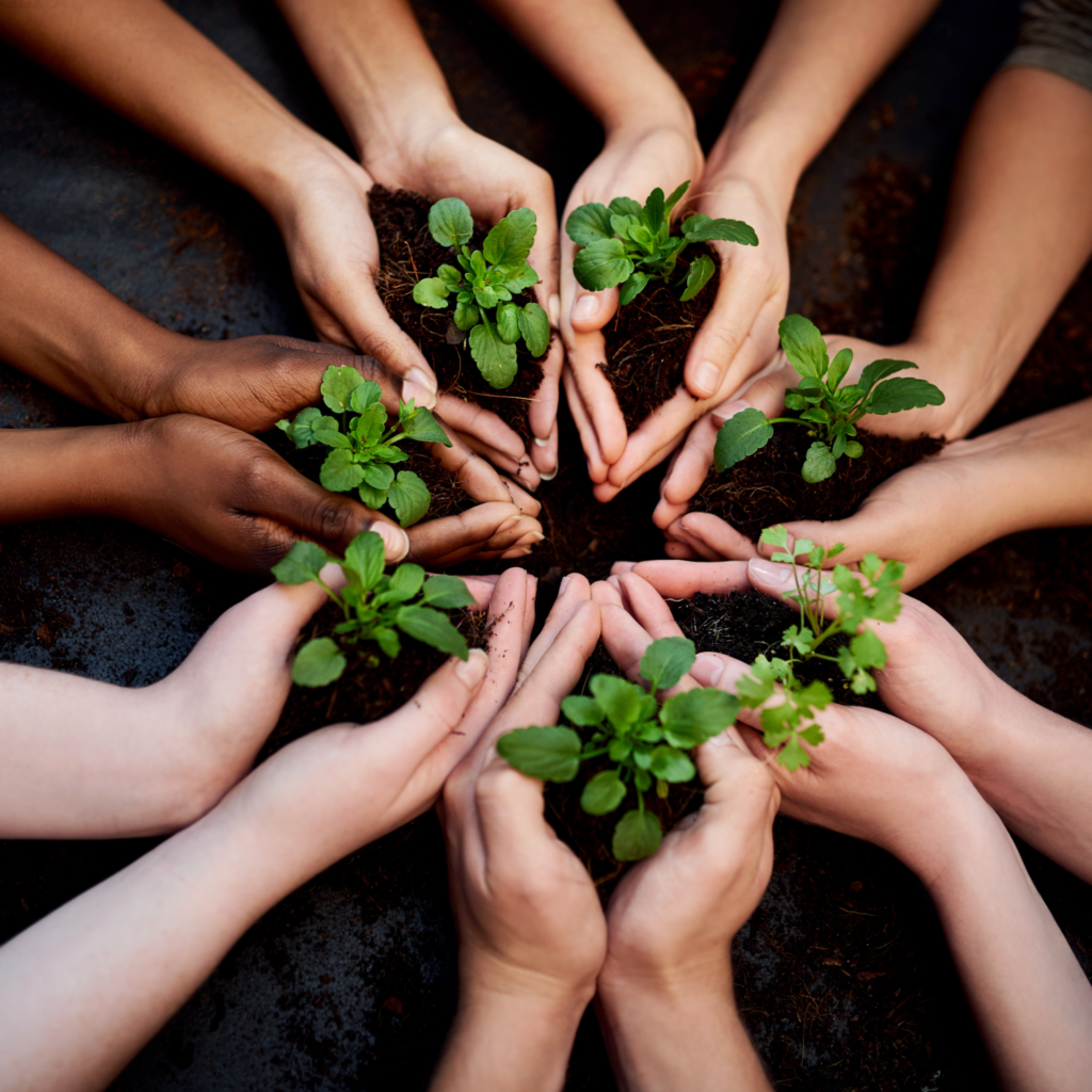 This image talks about Organic Farming.