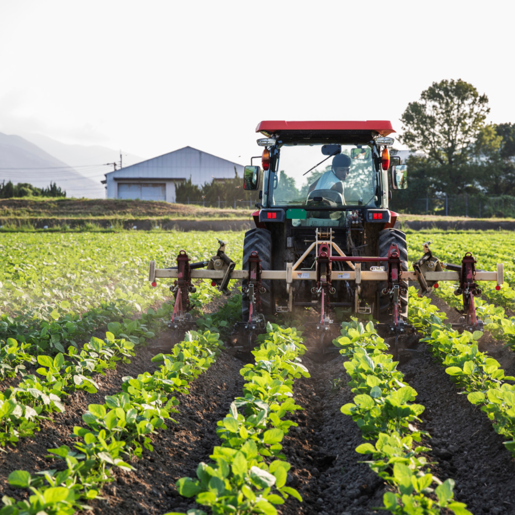 This Image talks about a farmer ding Organic Farming.