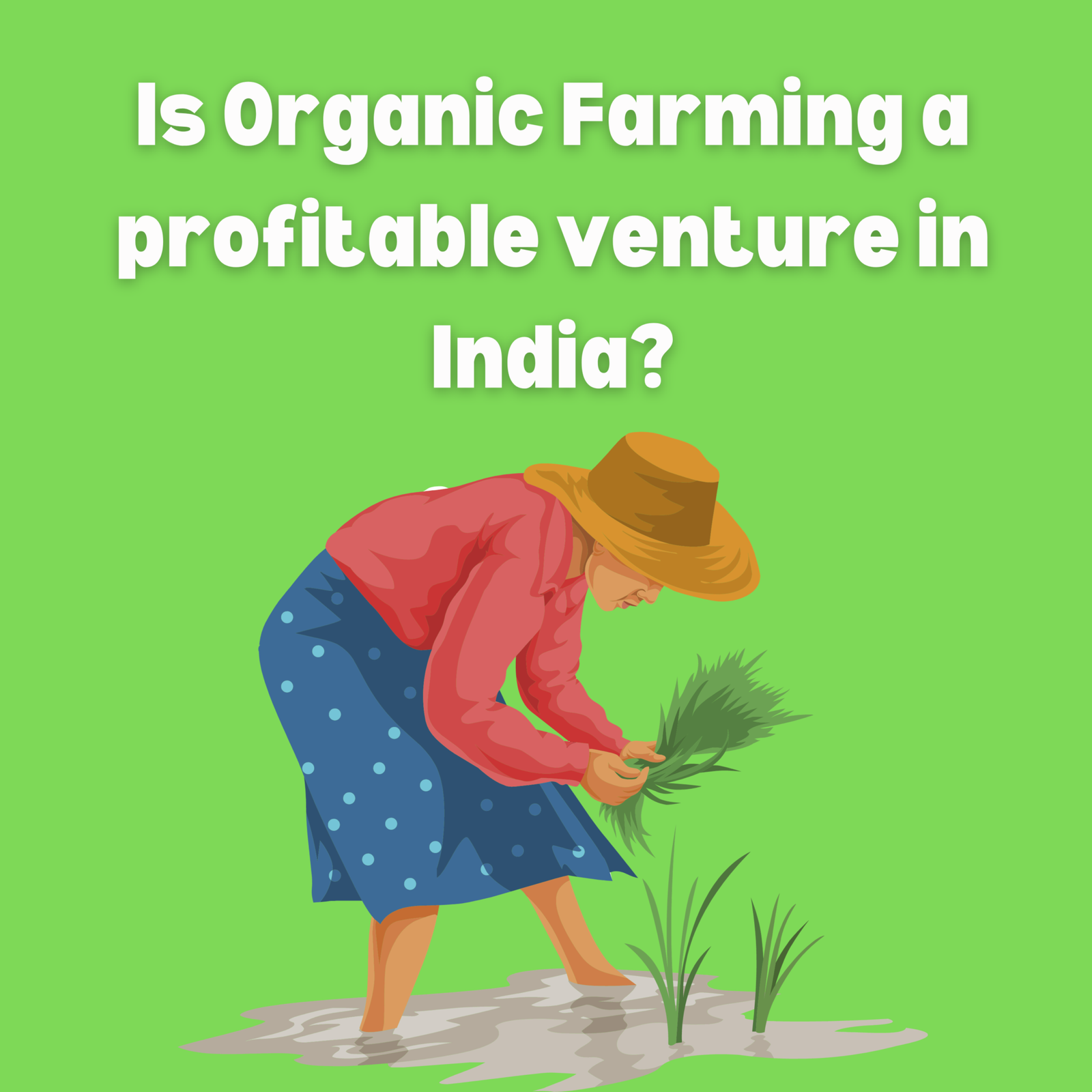 This image talks about organic farming profitability