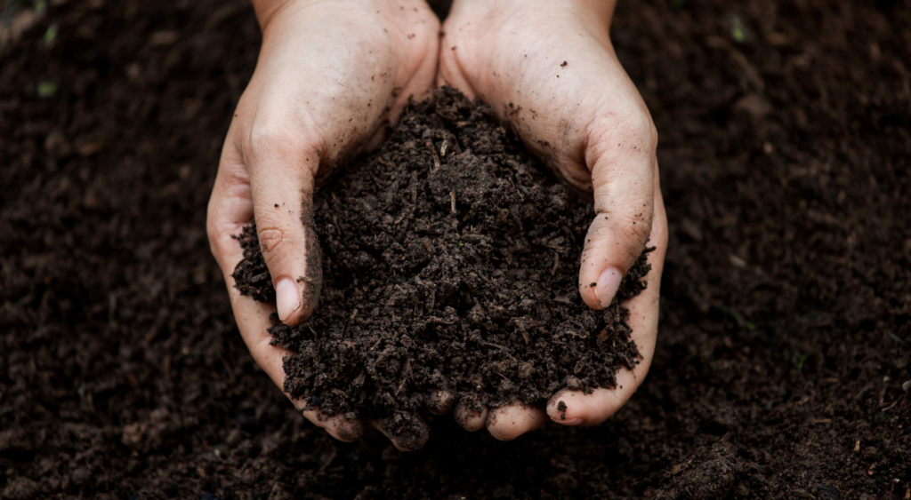 this image is about soil health