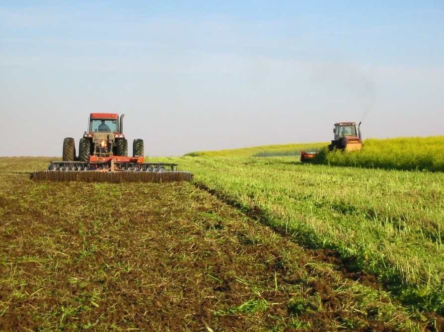 green manures farming