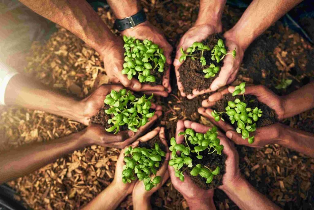 organic Farming Practices