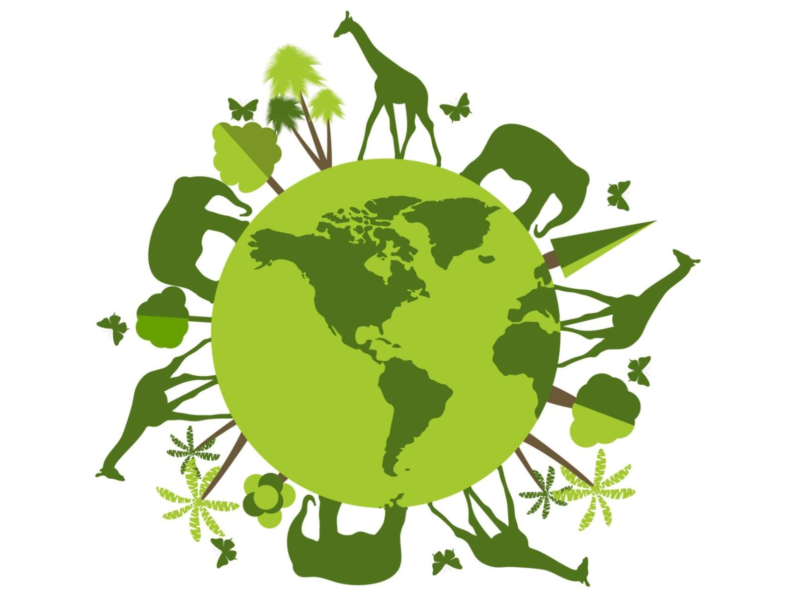Biodiversity