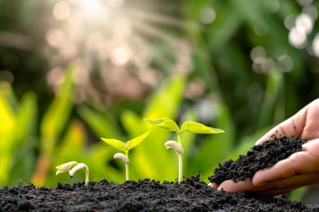 Nurturing the Soil
