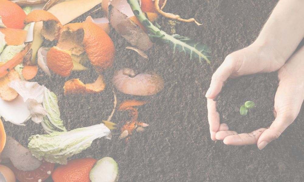 Agriculture Food Processing Waste Fertilizers